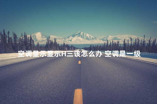 空调显示显示H三该怎么办 空调是一级能效好还是三级能效好